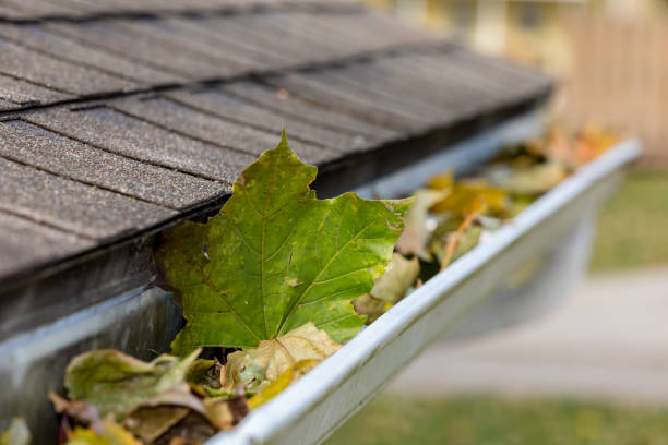 istockphoto-1189383491-612x612.jpg
